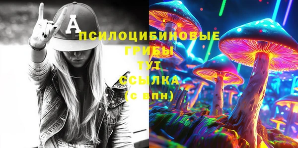 ПСИЛОЦИБИНОВЫЕ ГРИБЫ Киреевск