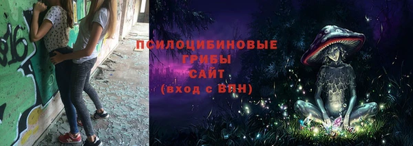 ПСИЛОЦИБИНОВЫЕ ГРИБЫ Киреевск