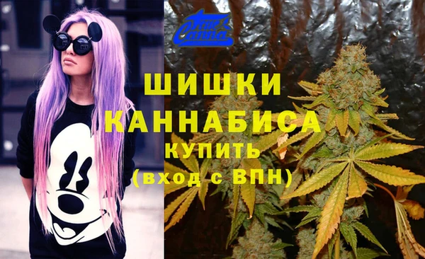 СК Киренск