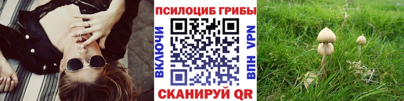 Галлюциногенные грибы MAGIC MUSHROOMS  Купить  Великий Устюг 