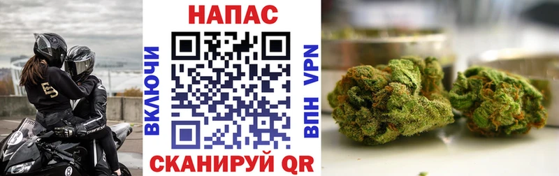 Конопля MAZAR Великий Устюг