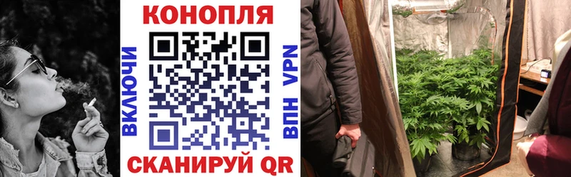 Купить где Великий Устюг Марихуана Amnesia
